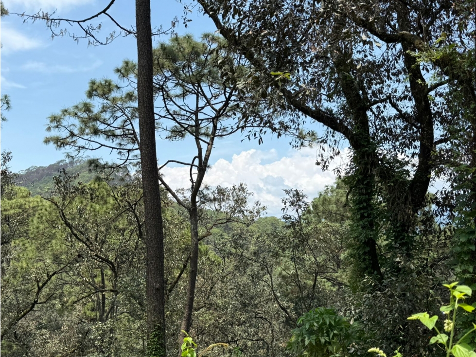TERRENO EN AVANDARO A UN COSTADO DEL VELO DE NOVIA — foto 3