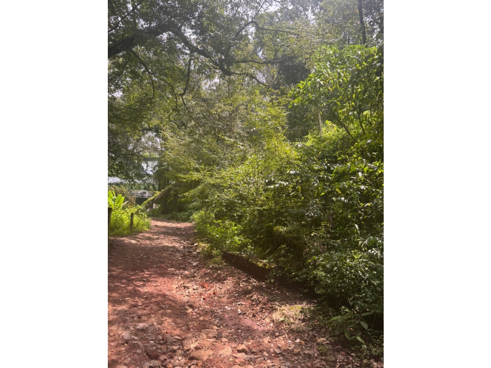 TERRENO EN AVANDARO VELO DE NOVIA — foto 2