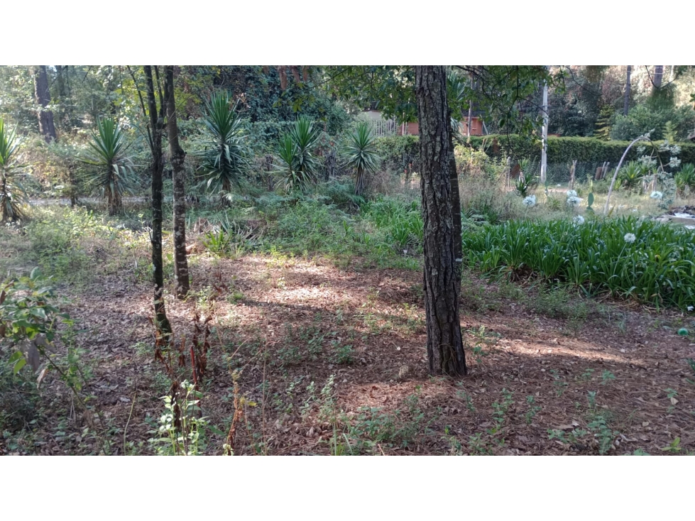 TERRENO CERRO GORDO — foto 5