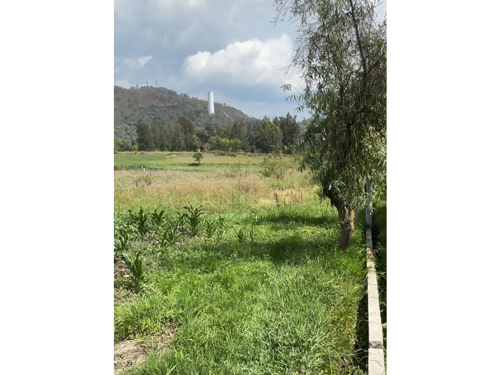 TERRENO SANTA TERESA TILOXTOC — foto 5