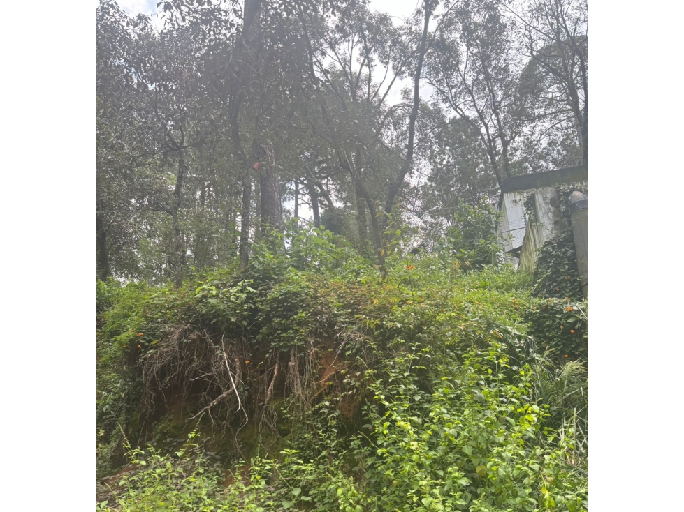 TERRENO EN AVANDARO VELO DE NOVIA — foto 4