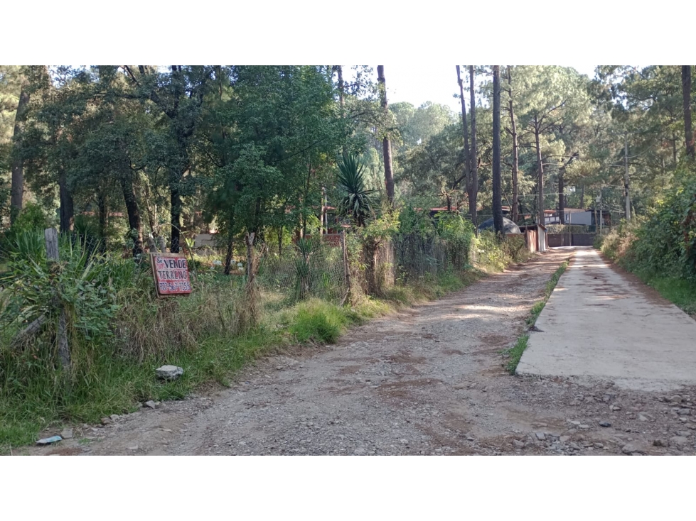 TERRENO CERRO GORDO