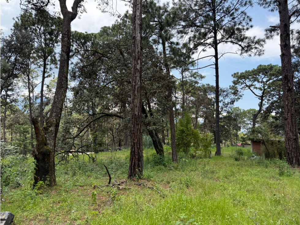 TERRENO EN VALLE VIEJO — foto 4