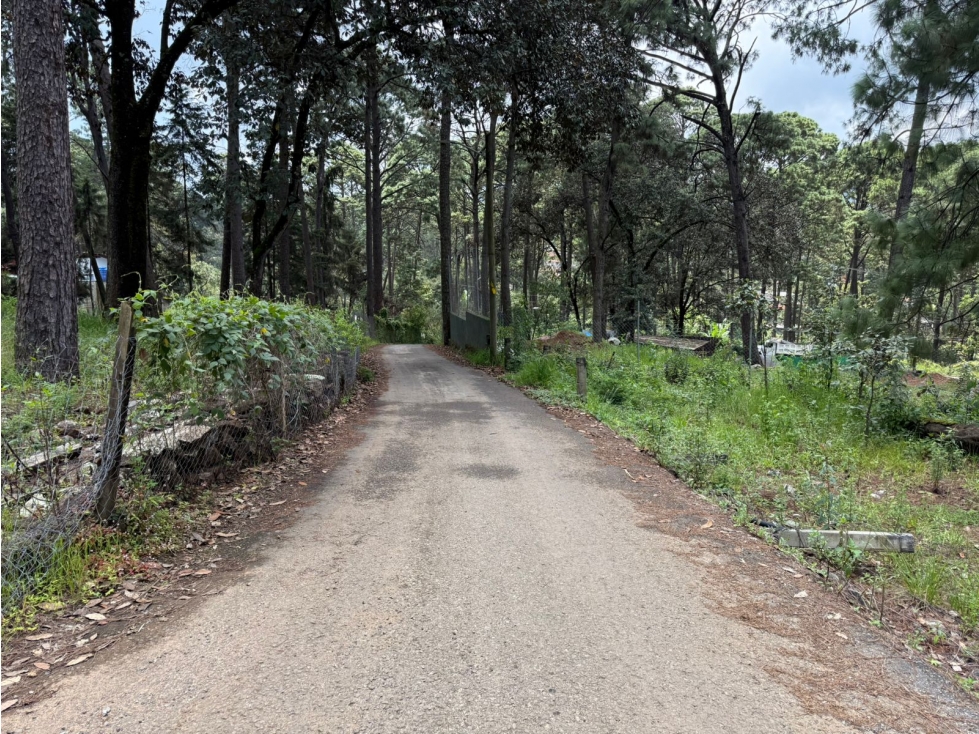 TERRENO EN VALLE VIEJO — foto 6