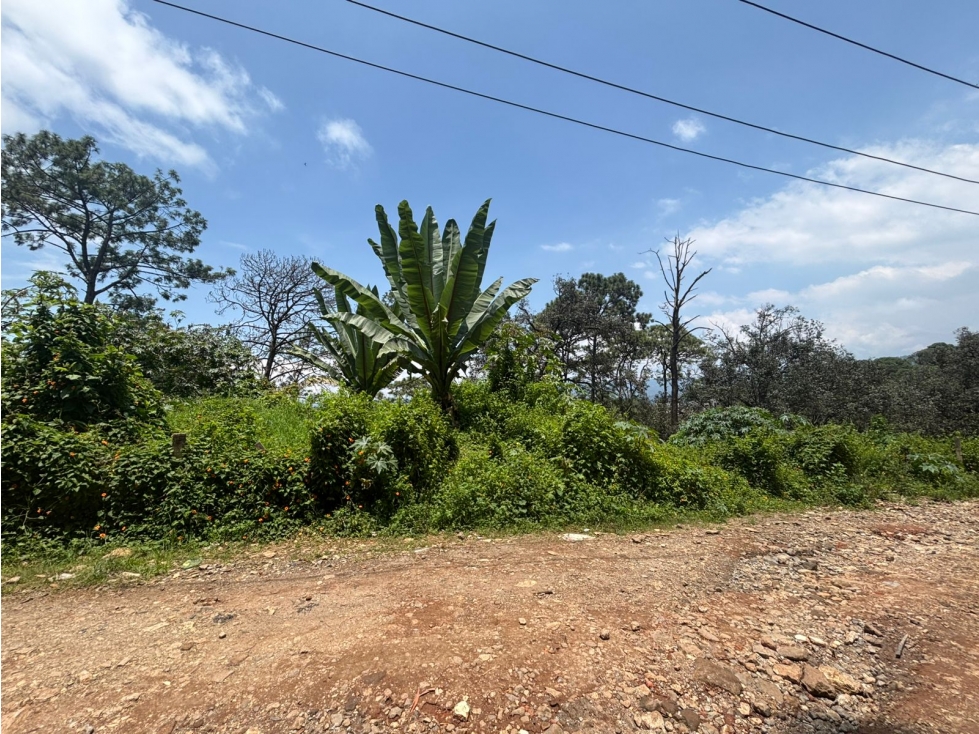TERRENO EN AVANDARO A UN COSTADO DEL VELO DE NOVIA — foto 4