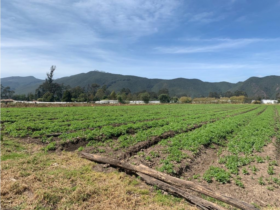 Finca/lote Sopó: 22 hectáreas - 1