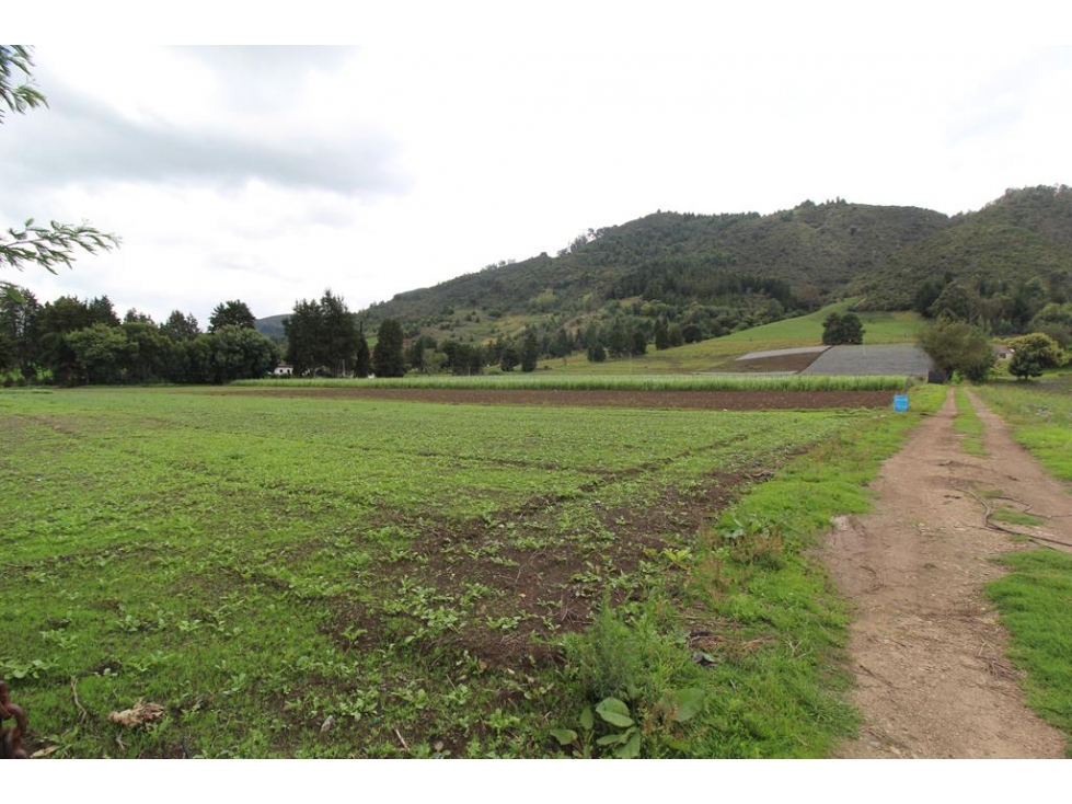 Finca/lote Subachoque: 109 fanegadas - 1