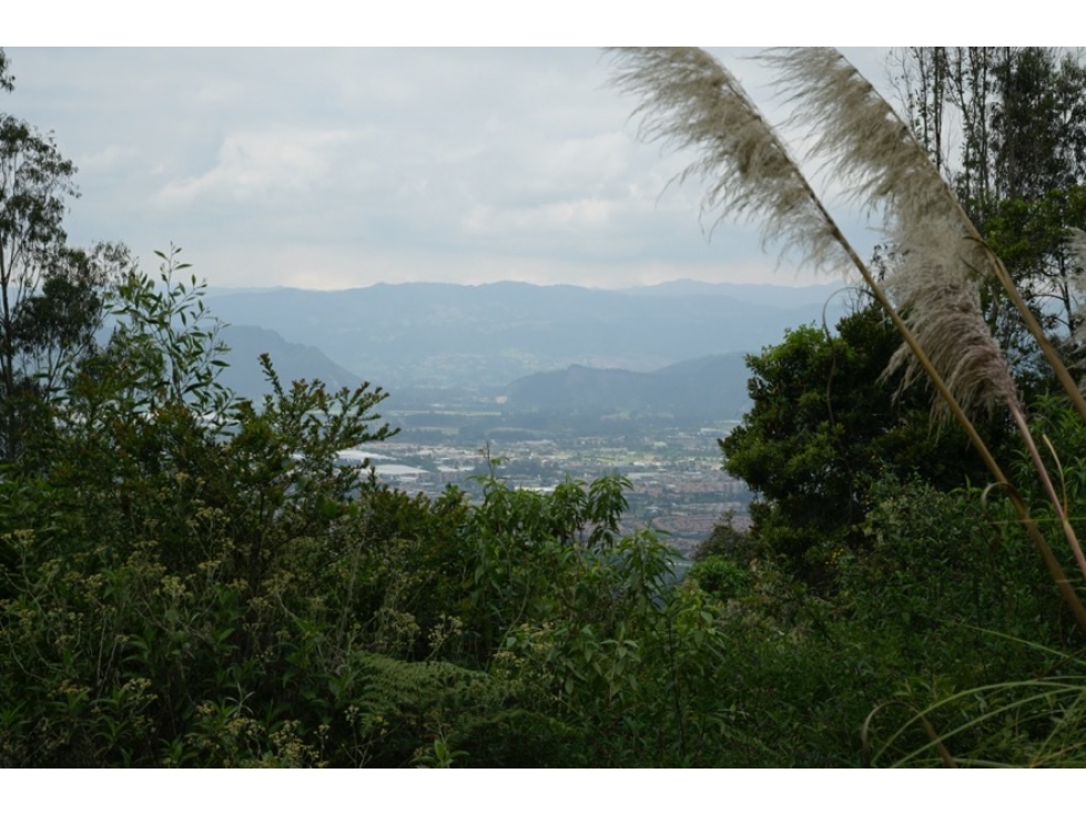 Lote Yerbabuena: 10030m2, en conjunto