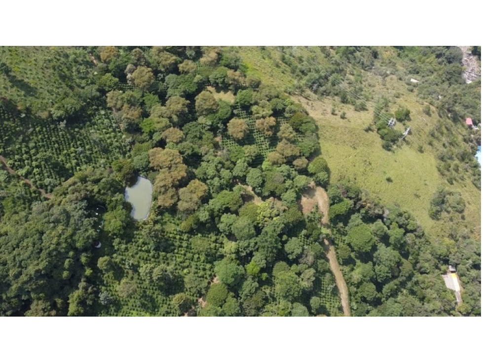 Fincas, lotes o terrenos en Pacho, Cundinamarca - 1
