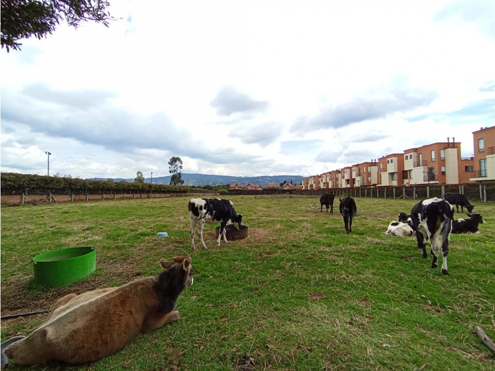 Lote en Chía, vereda Bojacá: 7416m2