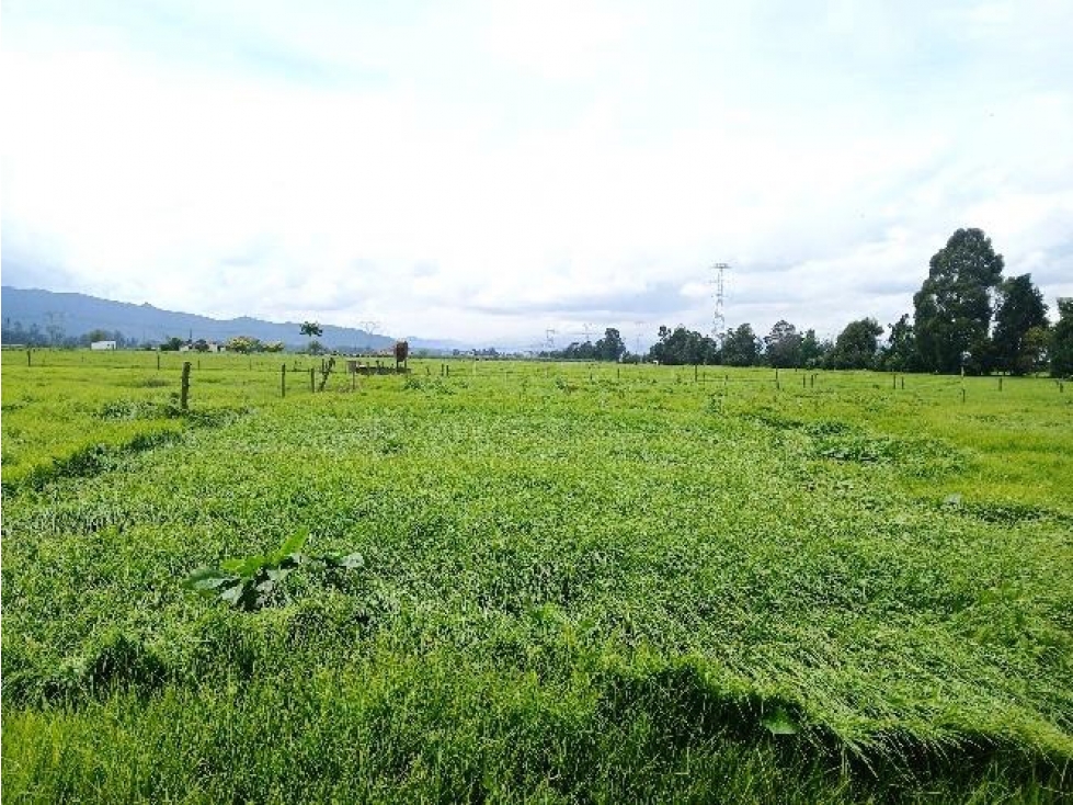 Finca en Tenjo: 21.18 hectáreas, 2 casas y casa de mayordomos