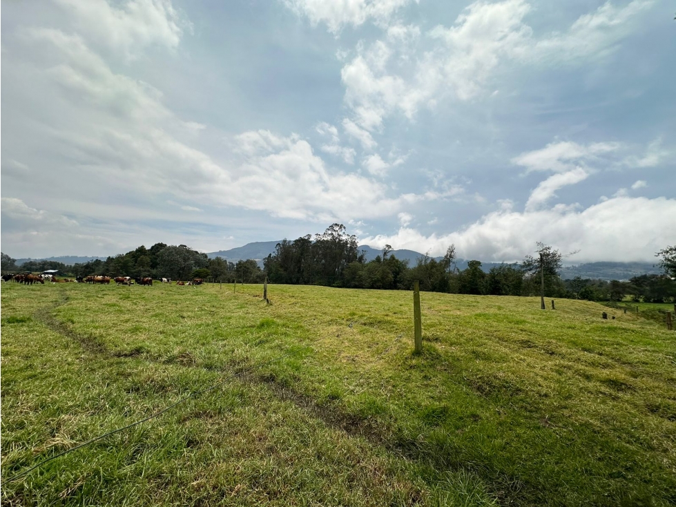 Finca Facatativá: 46 fanegadas - 1