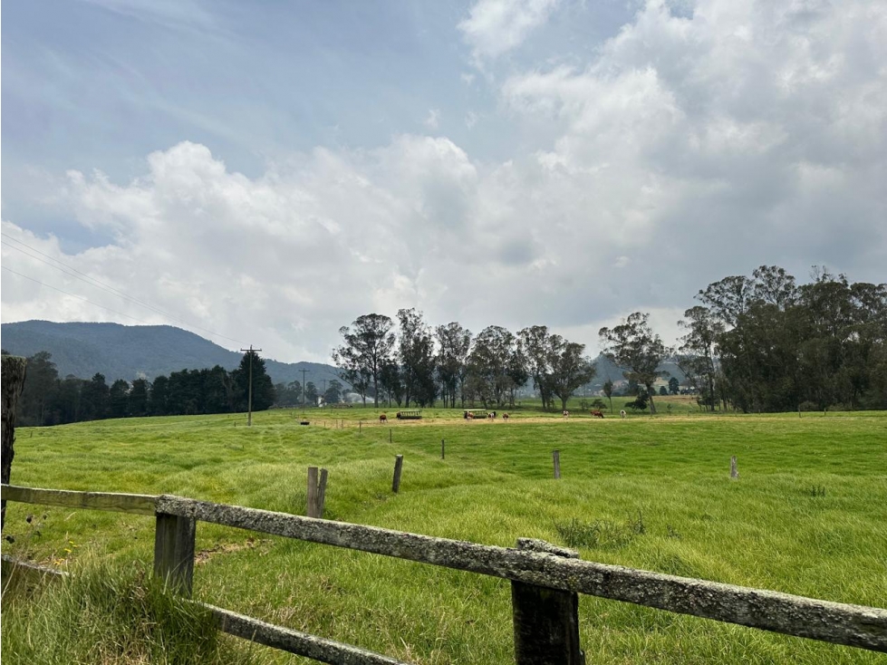 Finca Facatativá: 46 fanegadas - 5