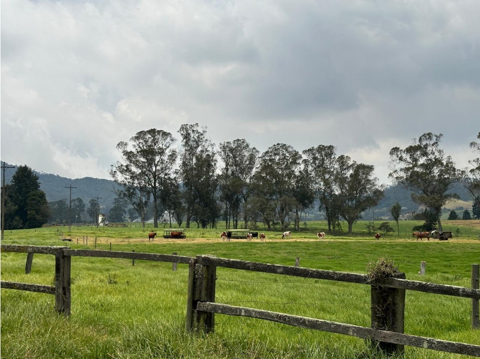 Finca Facatativá: 15 fanegadas - 6