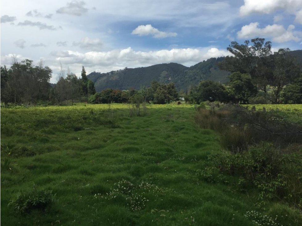 Lote::Venta::30500m2::Cajicá::W1805089 - 2