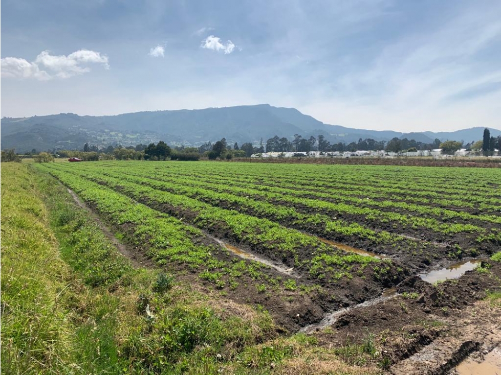 Finca/lote Sopó: 22 hectáreas - 2