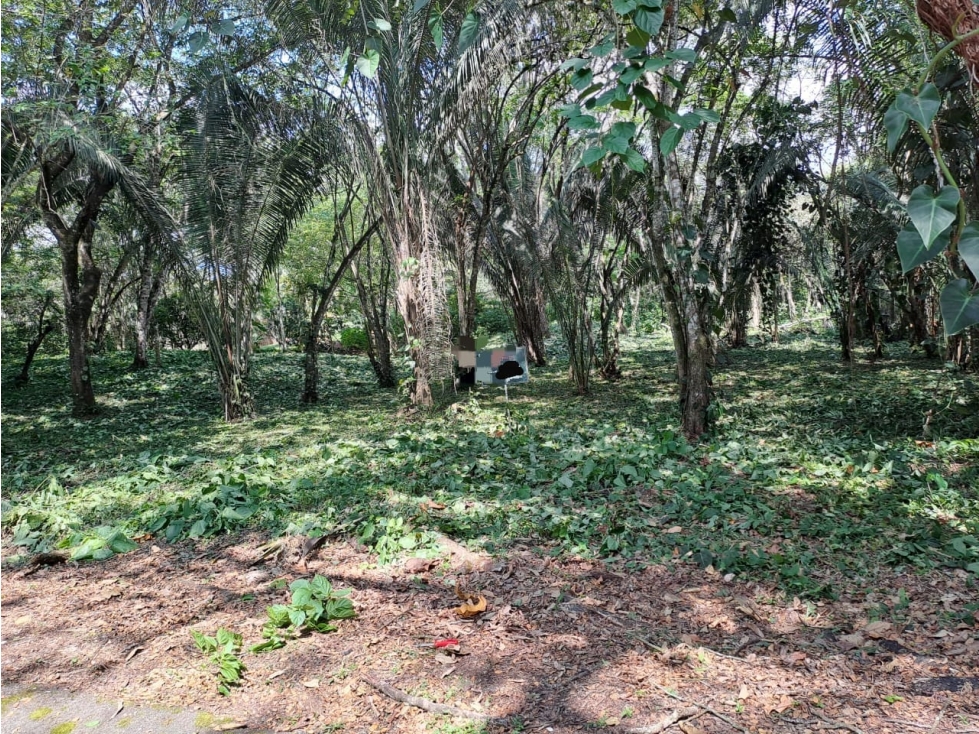 LOTE MESA DE YEGUAS - 2
