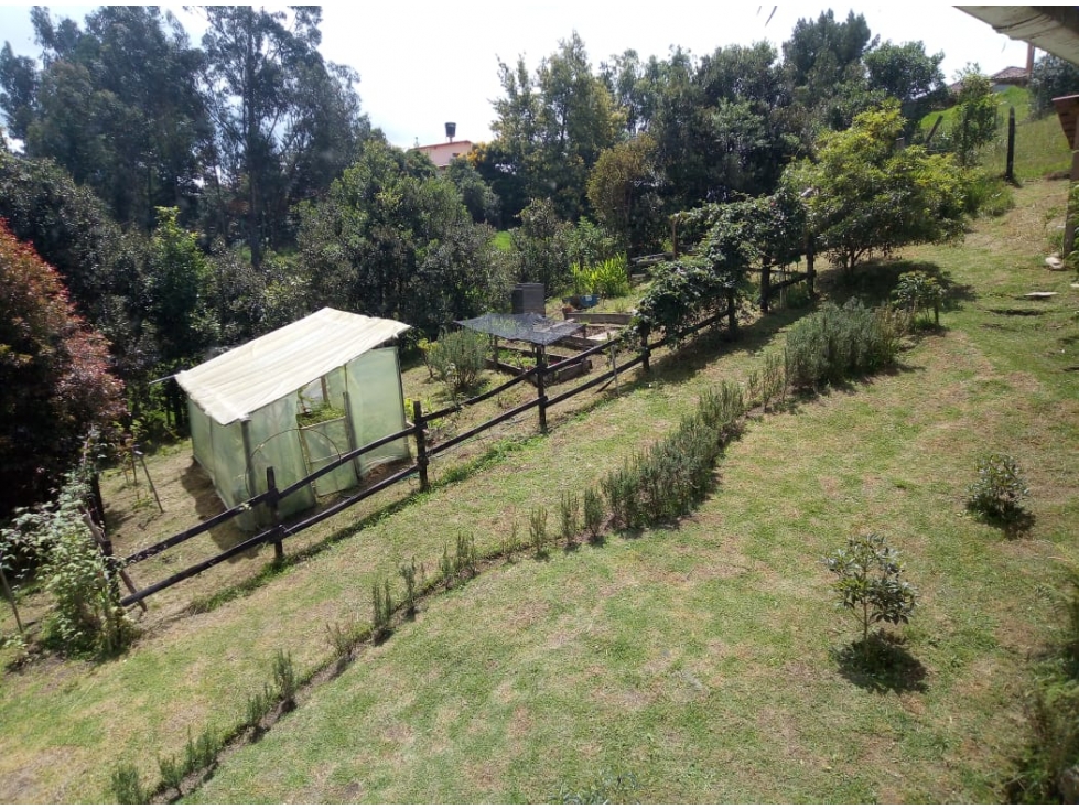 Casa Tabio Patro - 3