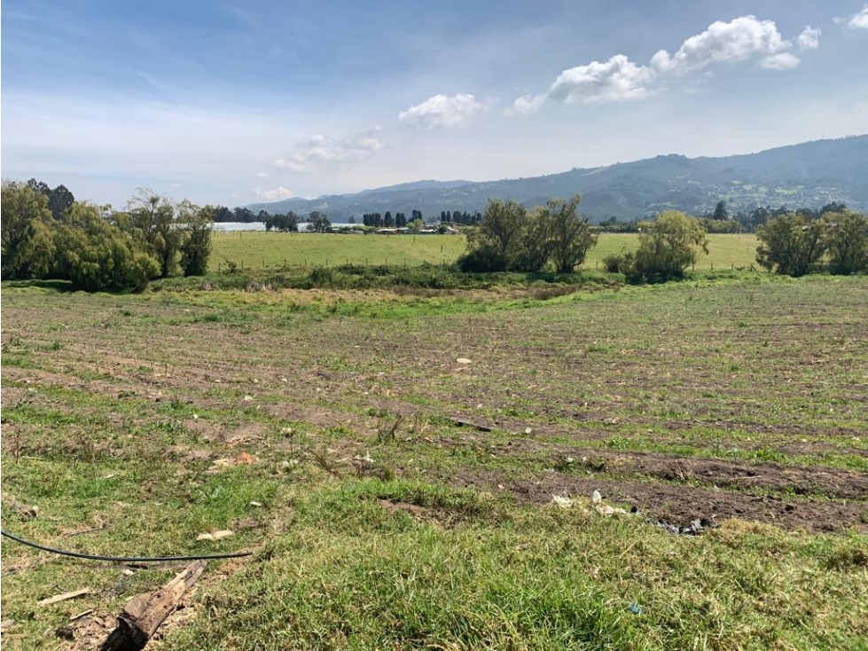 Finca/lote Sopó: 22 hectáreas - 3