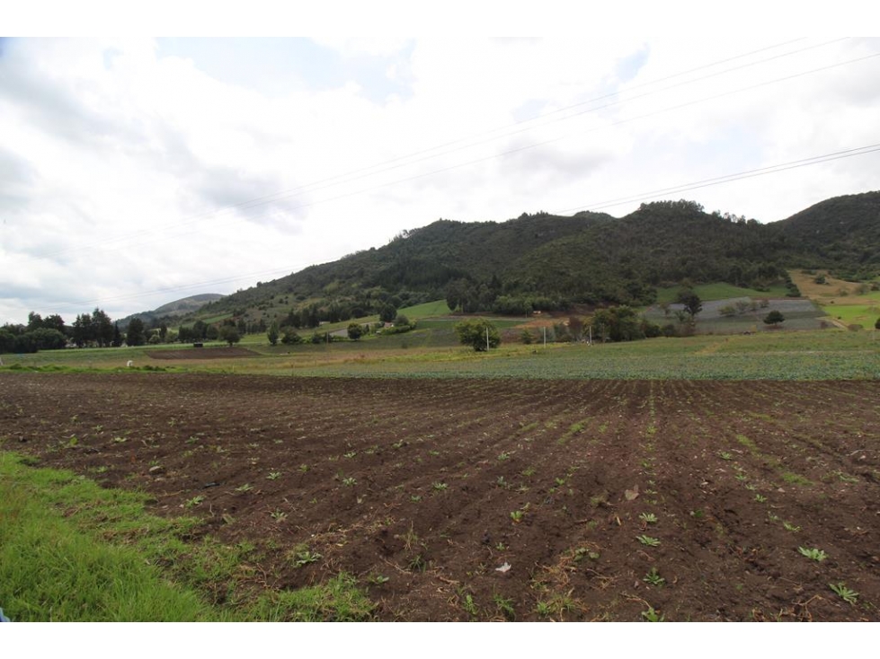 Finca/lote Subachoque: 109 fanegadas - 3