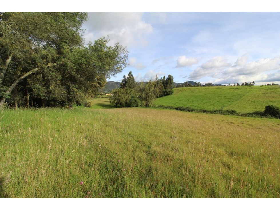 Finca/lote Tenjo: 40 fanegadas - 3