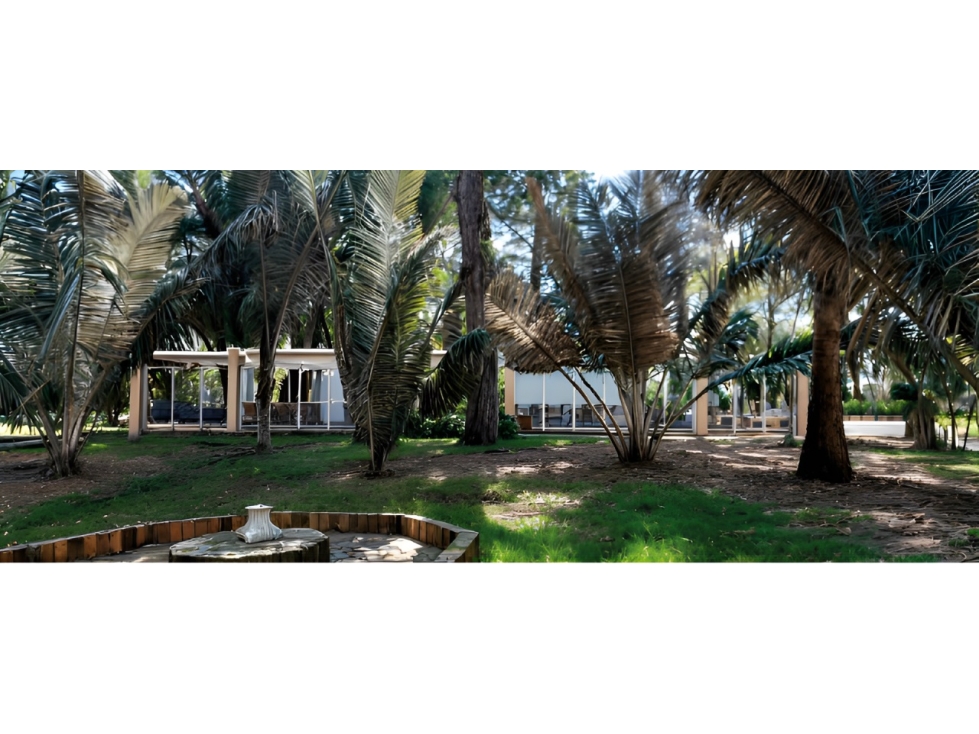 Local Parque Museo El Chicó — foto 3