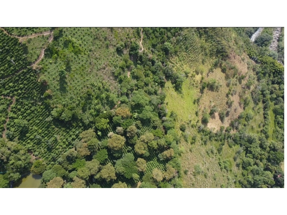 Fincas, lotes o terrenos en Pacho, Cundinamarca - 3