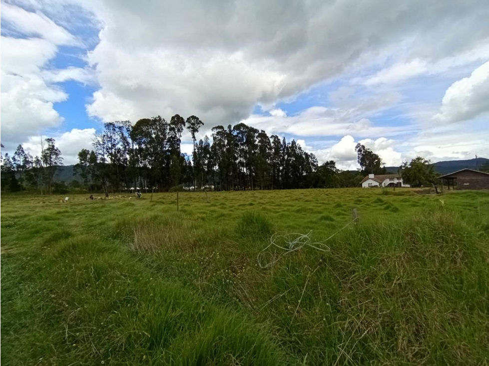 Casa/finca/lote en Fagua, Cajicá: 463m2, jardín, lote 5F, 4H y 4B — foto 3