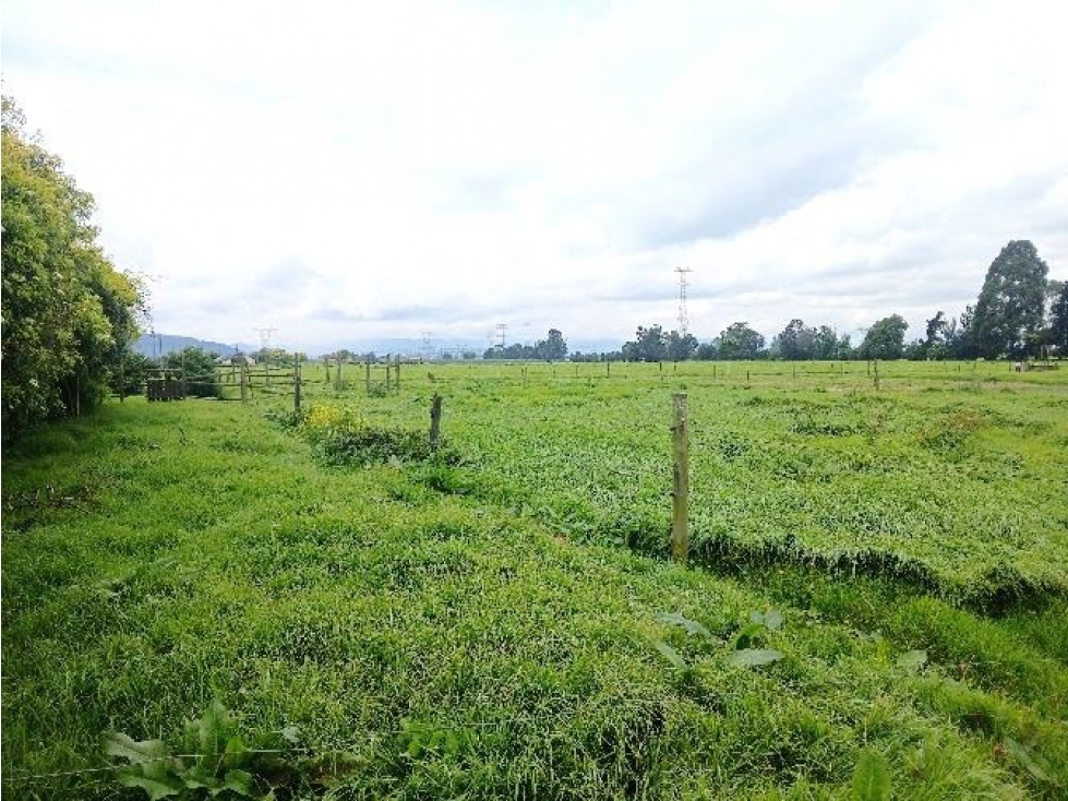 Finca en Tenjo: 21.18 hectáreas, 2 casas y casa de mayordomos — foto 3