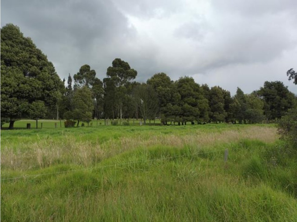 Lote::Venta::30889m2::Sopó::W1376931 — foto 2