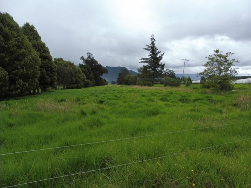 Lote::Venta::30889m2::Sopó::W1376931 — foto 3