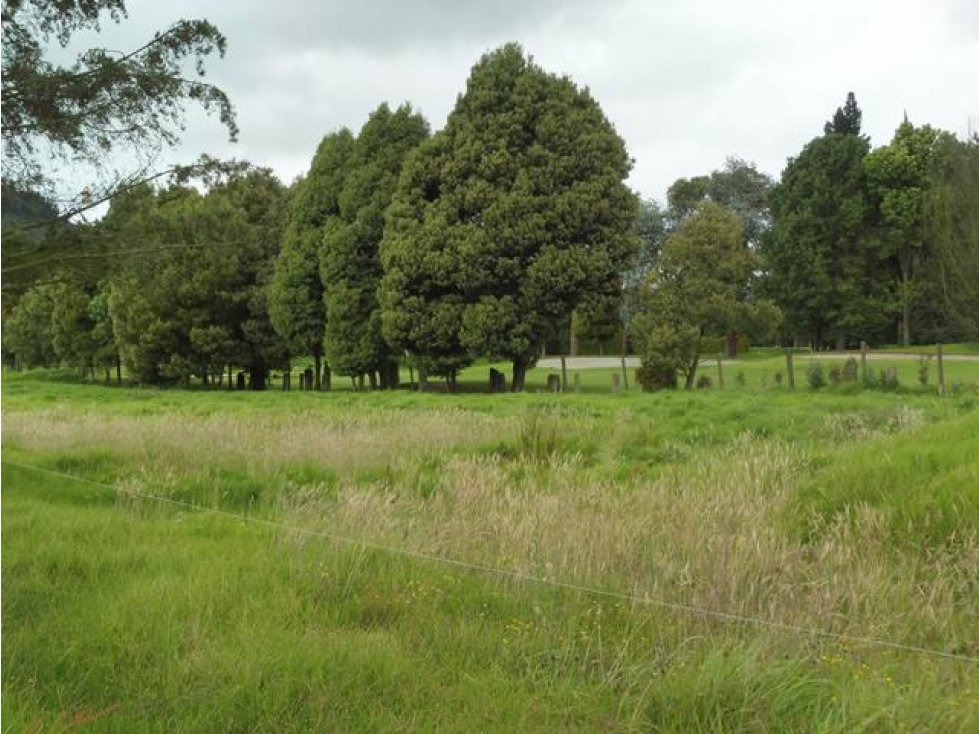 Lote::Venta::30889m2::Sopó::W1376931 — foto 5