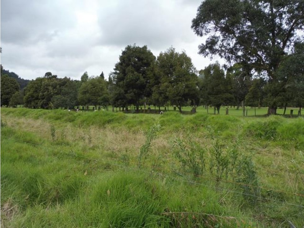 Lote::Venta::30889m2::Sopó::W1376931 — foto 6