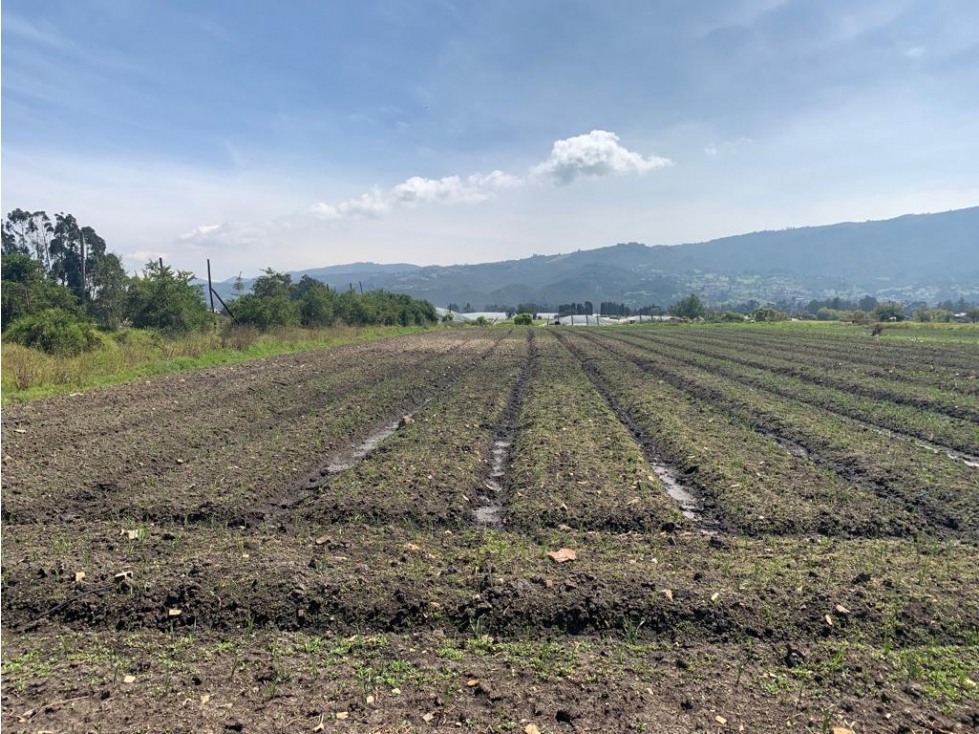 Finca/lote Sopó: 22 hectáreas - 4
