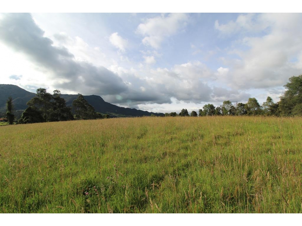 Finca/lote Tenjo: 40 fanegadas - 4