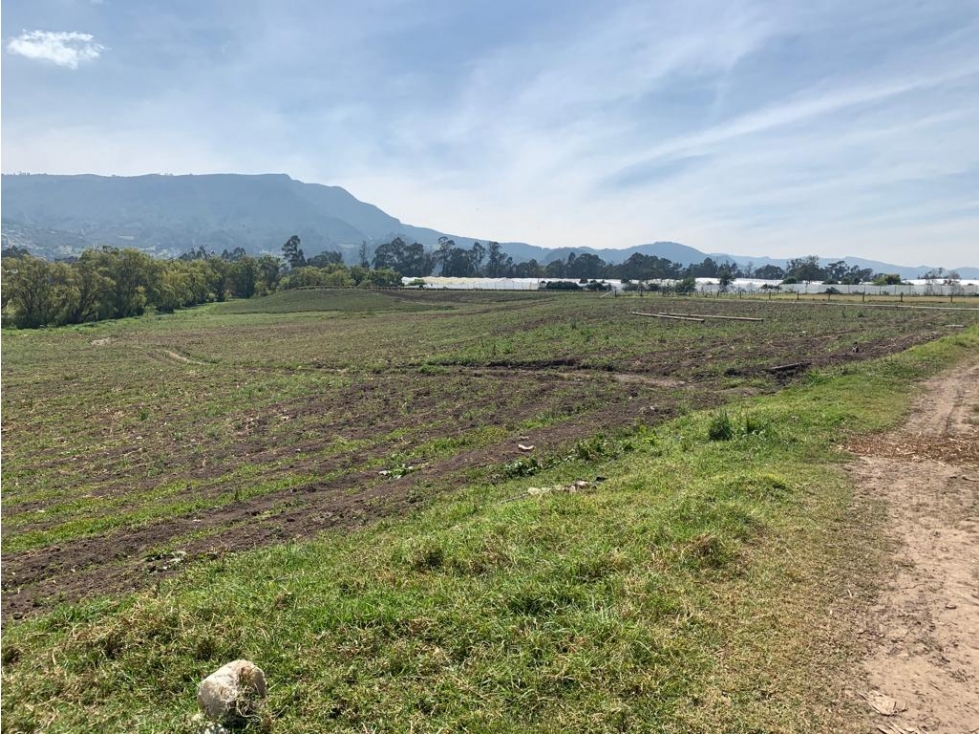 Finca/lote Sopó: 22 hectáreas - 5