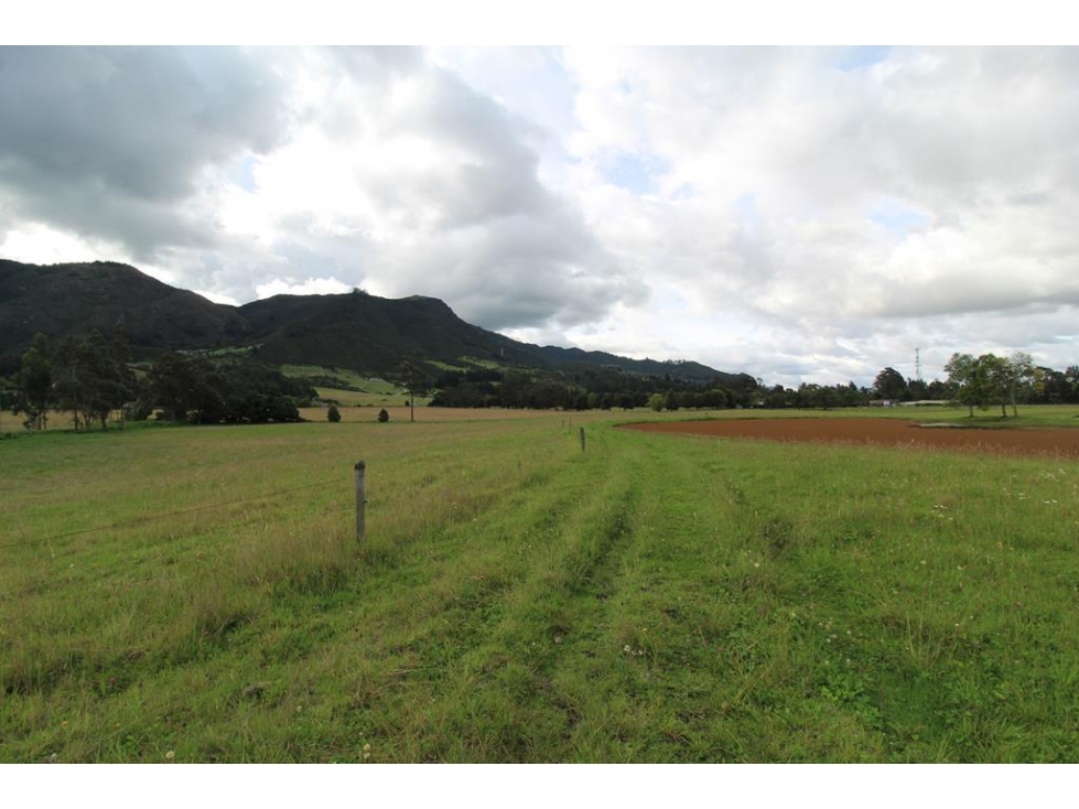 Finca/lote Tenjo: 40 fanegadas - 5