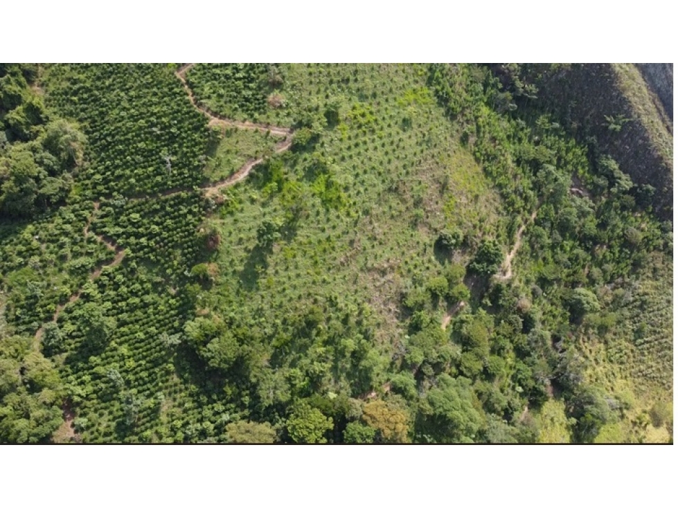 Fincas, lotes o terrenos en Pacho, Cundinamarca - 5