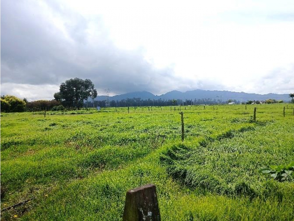 Finca en Tenjo: 21.18 hectáreas, 2 casas y casa de mayordomos — foto 5
