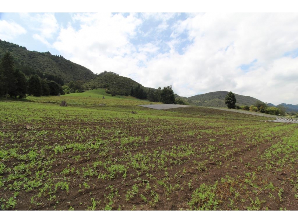 Finca/lote Subachoque: 109 fanegadas - 6