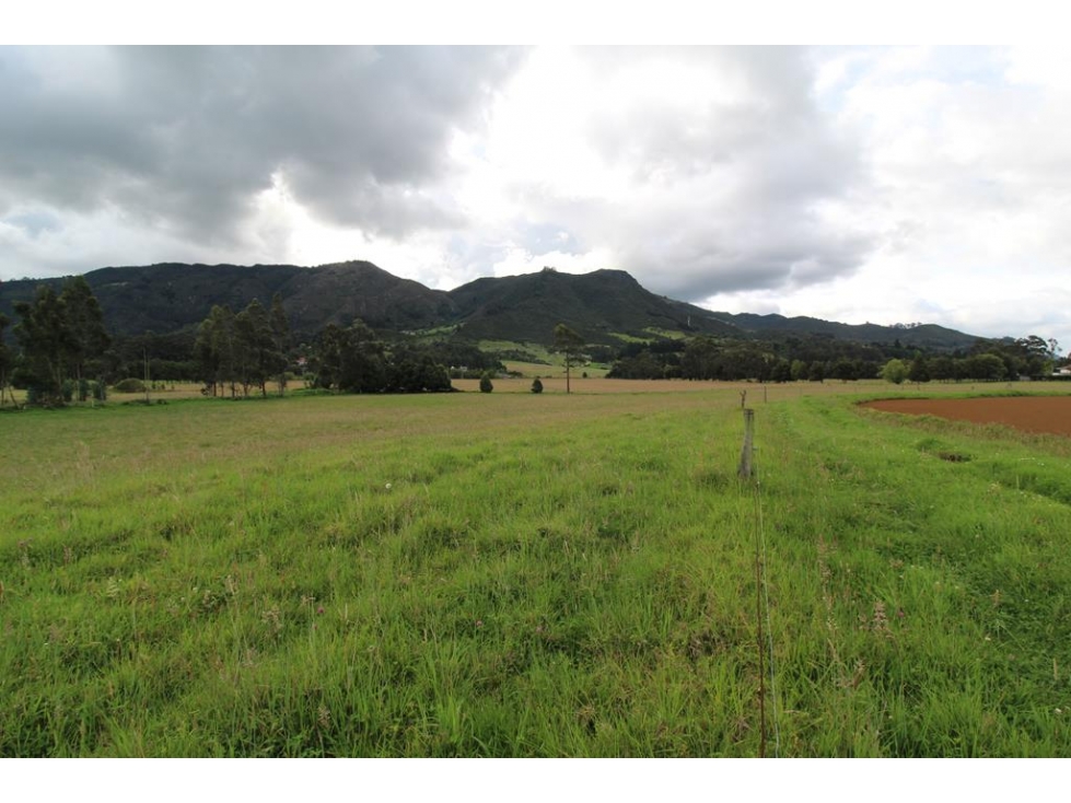 Finca/lote Tenjo: 40 fanegadas - 6