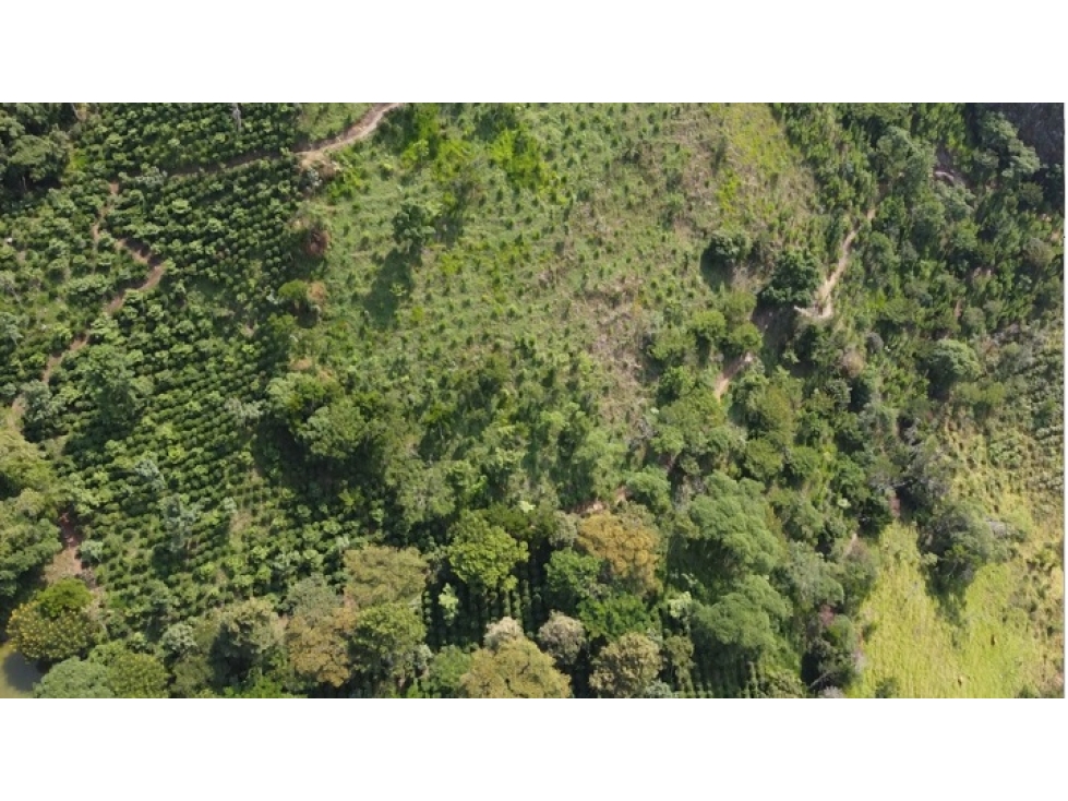 Fincas, lotes o terrenos en Pacho, Cundinamarca - 6
