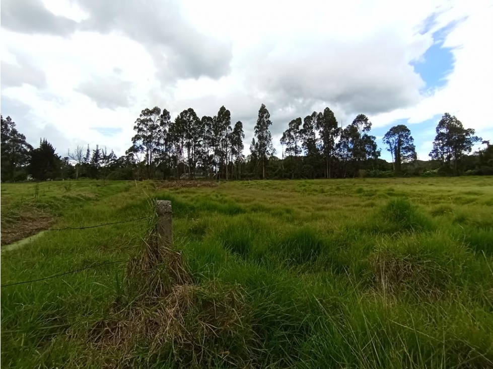 Casa/finca/lote en Fagua, Cajicá: 463m2, jardín, lote 5F, 4H y 4B — foto 6