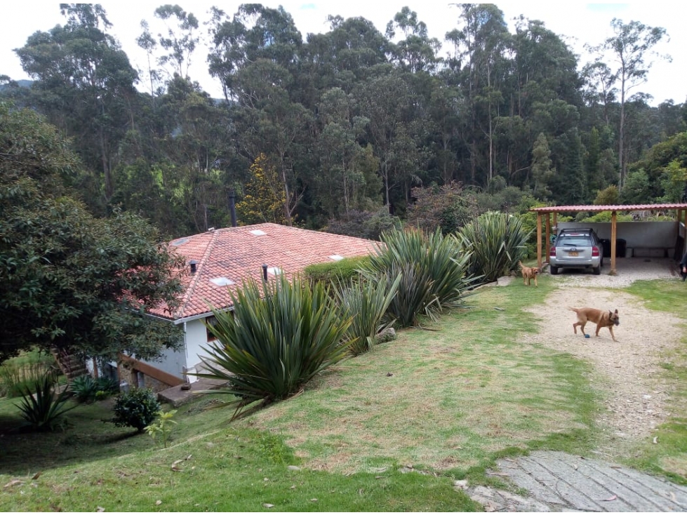 Casa Tabio Patro - 6