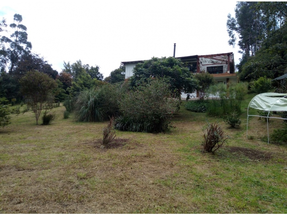 Casa Tabio Patro - 5