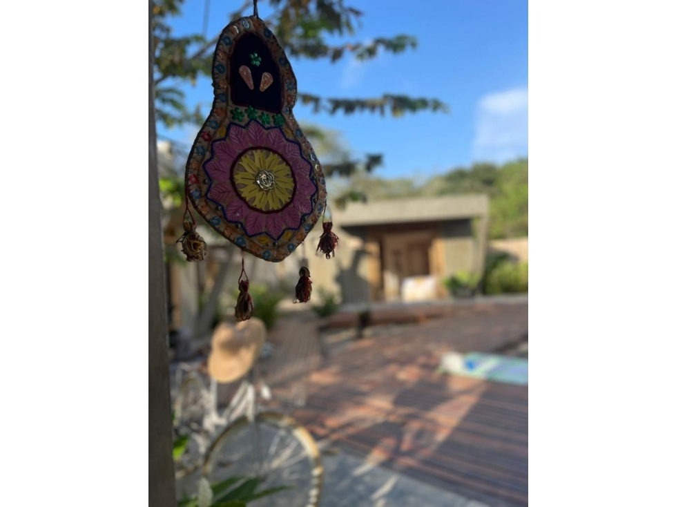 CASA SELVA ROSA PALOMINO - 6