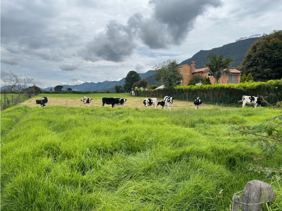 LOTE EN VENTA EN TENJO - 1