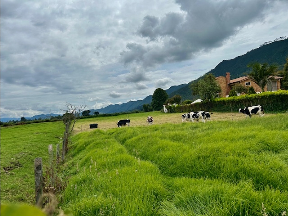 LOTE EN VENTA EN TENJO - 4