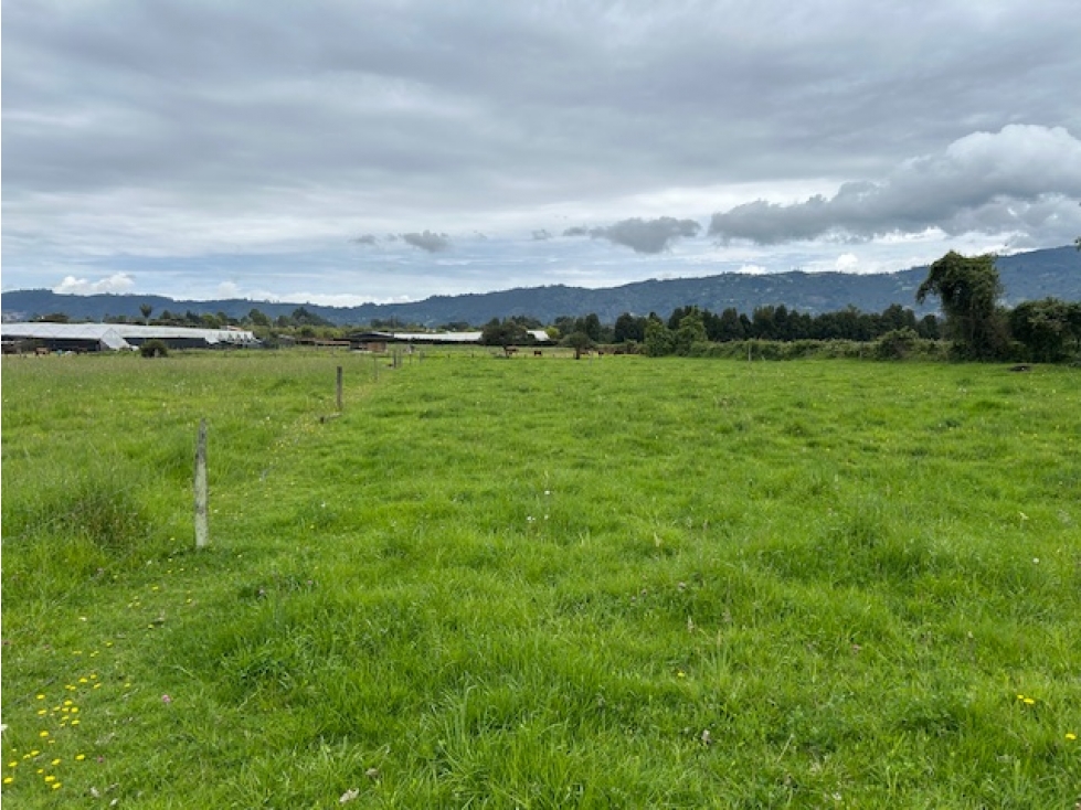 LOTE EN VENTA EN TENJO - 6
