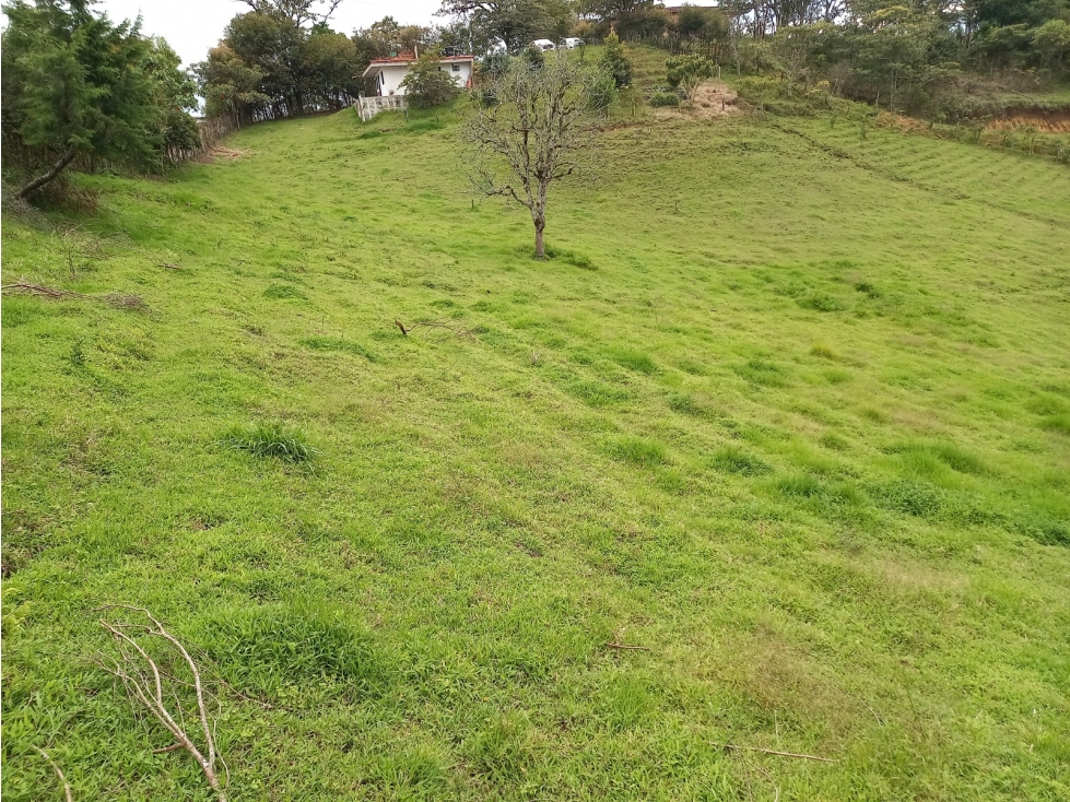Venta Lote en EL Carmen De Viboral - Vereda Garzonas